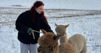 alice pet sitter à POITIERS 86000_3