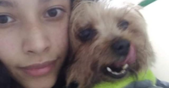 karina pet sitter à MEUDON 92190_0