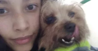 karina pet sitter à MEUDON 92190