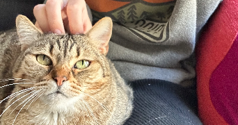 salomé pet sitter à PARIS 15 75015_2