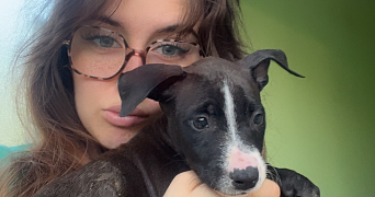 romane pet sitter à ST BENOIT 86280_2