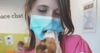 julia pet sitter à METHAMIS 84570_3