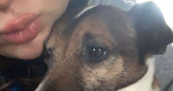 eloïne pet sitter à ROANNE 42300_1