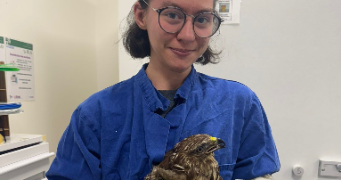 justine pet sitter à PARIS 12 75012_0