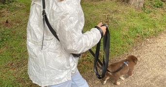 amelie pet sitter à BONDY 93140_6