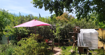 helene pet sitter à MONTPELLIER 34000_0