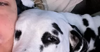 fabien pet sitter à VALDOIE 90300