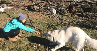 nayeli pet sitter à NEUILLY SUR MARNE 93330_2