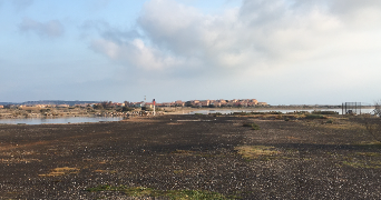 thomas pet sitter à LEUCATE 11370_1