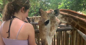 melina pet sitter à BESANCON 25000_1