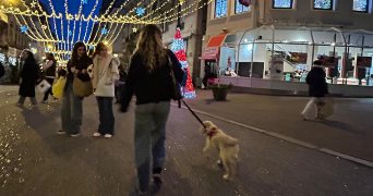 anaelle pet sitter à limoges 87000_1