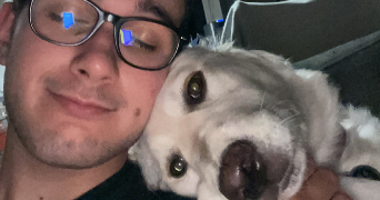 rémi pet sitter à L HAY LES ROSES 94240_2