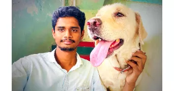 kolli pet sitter à BEZONS 95870