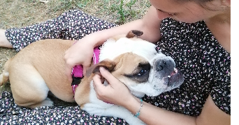 carole pet sitter à Neuilly Plaisance 93360_3
