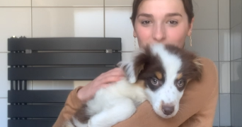 carla pet sitter à ESTILLAC 47310_1