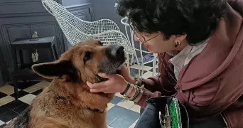 aakil pet sitter à RENNES 35000