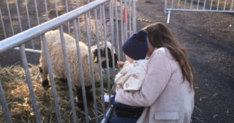 léa pet sitter à VILLENEUVE SUR LOT 47300_2
