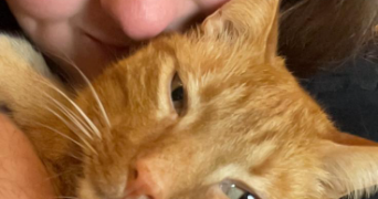 laëtitia pet sitter à ANDRESY 78570_1