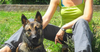 amelia pet sitter à NEUFCHEF 57700_0