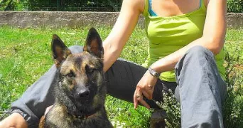 amelia pet sitter à NEUFCHEF 57700