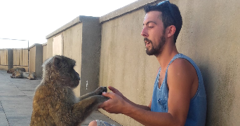 thibaud pet sitter à TOURNEFEUILLE 31170_1