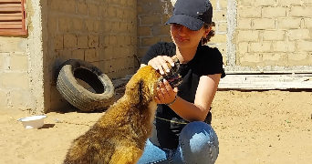 anaïs pet sitter à Roncq 59223_0