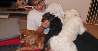 rémi pet sitter à L HAY LES ROSES 94240_1