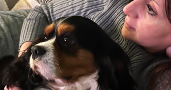isabelle pet sitter à ANDILLY 95580_1