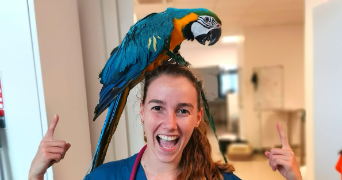 lou pet sitter à BAYONNE 64100_0