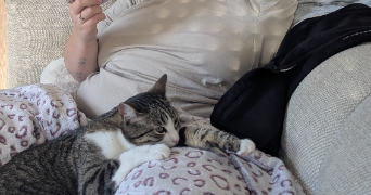 elisa pet sitter à CHANTEPIE 35135_1