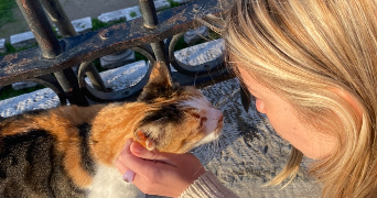 margot pet sitter à PARIS 13 75013_0