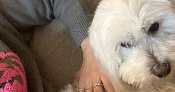 sarah pet sitter à VINCENNES 94300_4