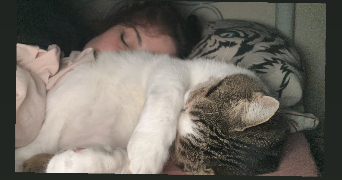 tatiana pet sitter à ABLEIGES 95450_1