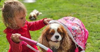 marlene pet sitter à AUNEAU BLEURY ST SYMPHORIEN 28700_79