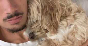 arthur pet sitter à GUINGAMP 22200_2