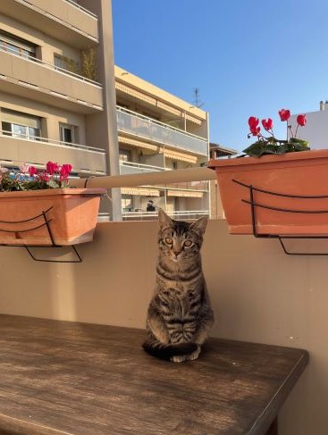 adeline pet sitter à Montelier 26120_6