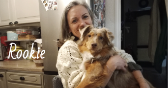 valérie pet sitter à Le Thor 84250_49