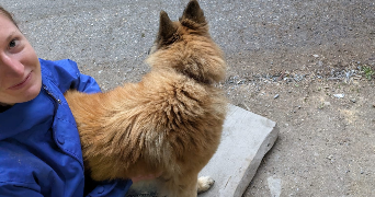 fleur pet sitter à LYON 01 69001_1