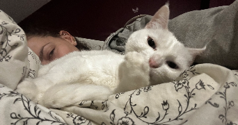 laetitia pet sitter à LES VILLAGES VOVEENS 28150_3