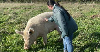 camille pet sitter à RENNES 35200_1