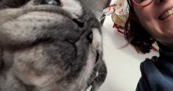 marjorie pet sitter à TOULON 83000_8