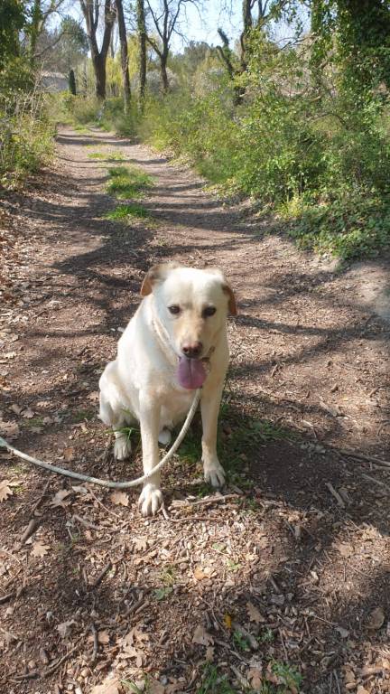 clémentine pet sitter à Marseille 13007_1