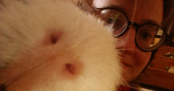 pauline pet sitter à CORBAS 69960_6