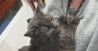 elise pet sitter à PARIS 13 75013_1