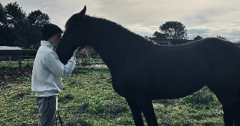 rémi pet sitter à PERTUIS 84120_4