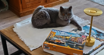 mireille pet sitter à MARSEILLE 13 13013_1