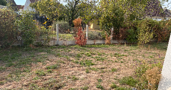 abigaïl dog sitter à FLEURY LES AUBRAIS 45400_3