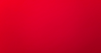 farah pet sitter à LILLE 59000_0