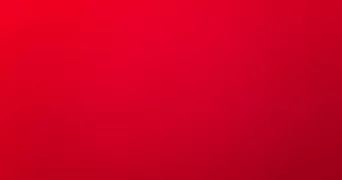 farah pet sitter à LILLE 59000