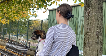 lou pet sitter à PARIS 09 75009_2